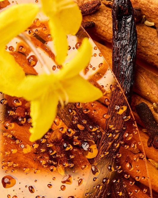 The Soul of Scent: Why Fragrance Is More Than Just a Smell ❤️‍🔥