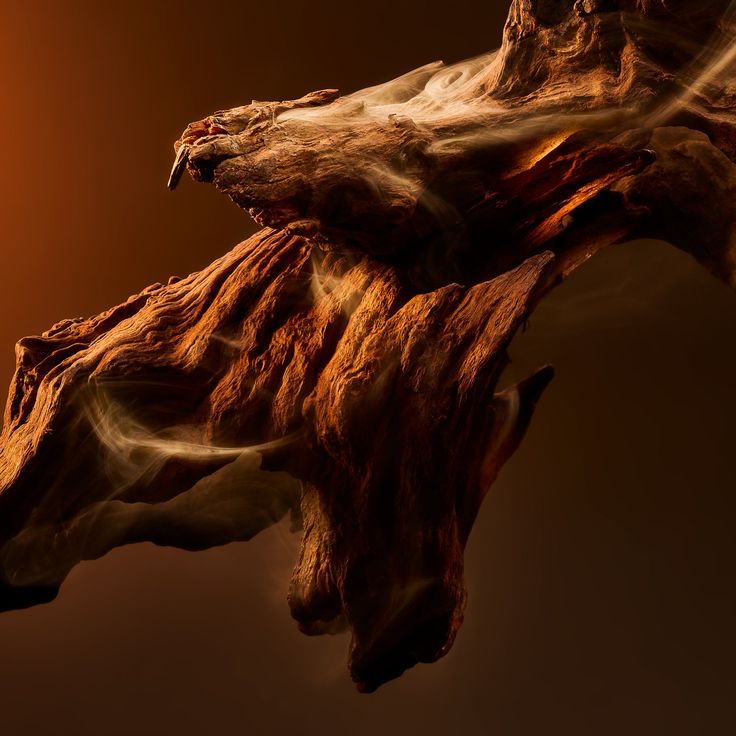 What Is Oud Oil? Skin Benefits, Uses & Why It’s So Luxurious 🪵